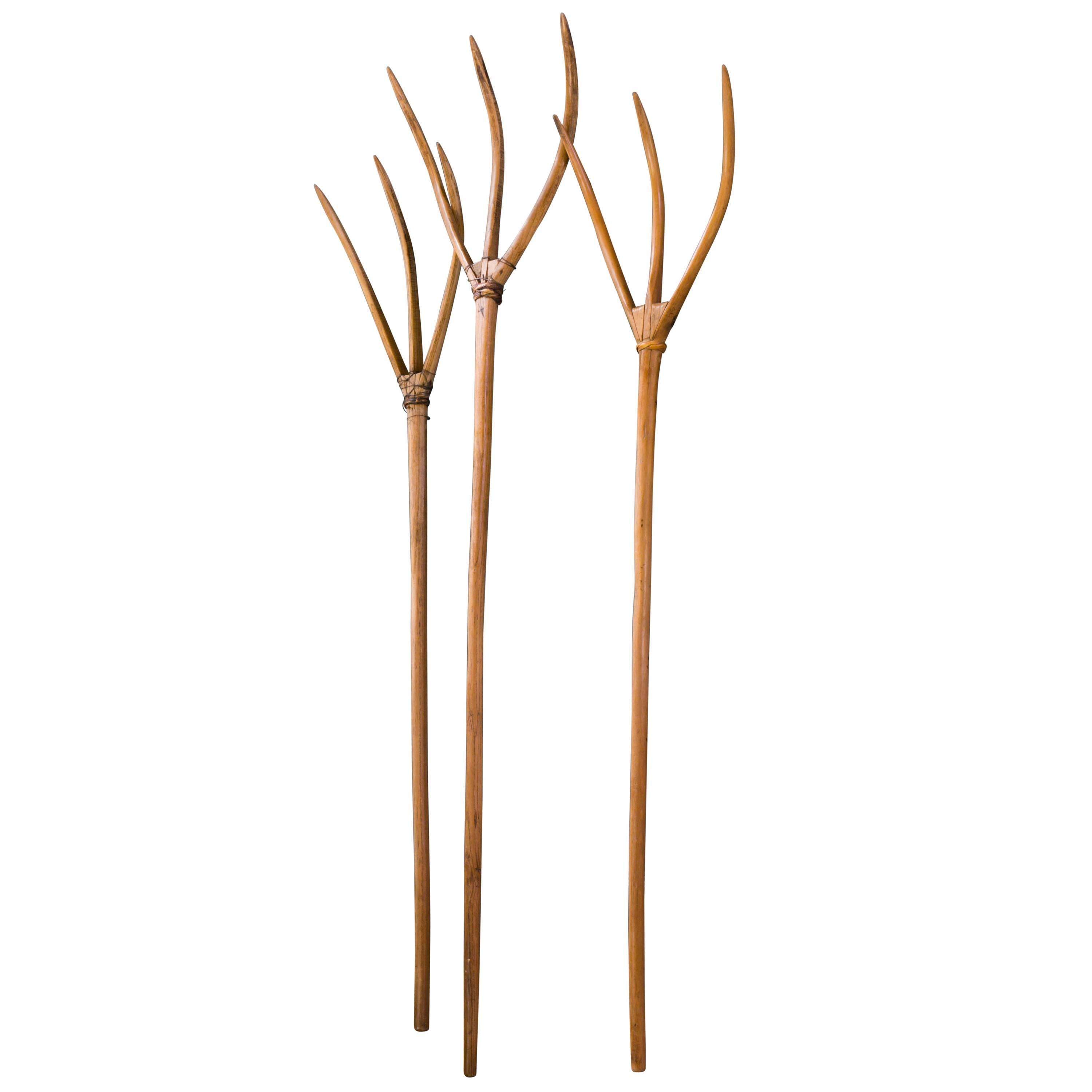 Set  Three Hand-Carved Wood Lavender Pitch Forks from France, circa 1940