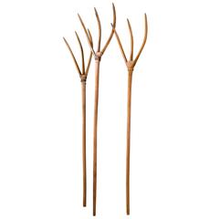 Set  Three Hand-Carved Wood Lavender Pitch Forks from France, circa 1940