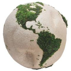 One of a Kind Teak Root Globe or Stabilized Moss - 15.75 in. (40 cm)