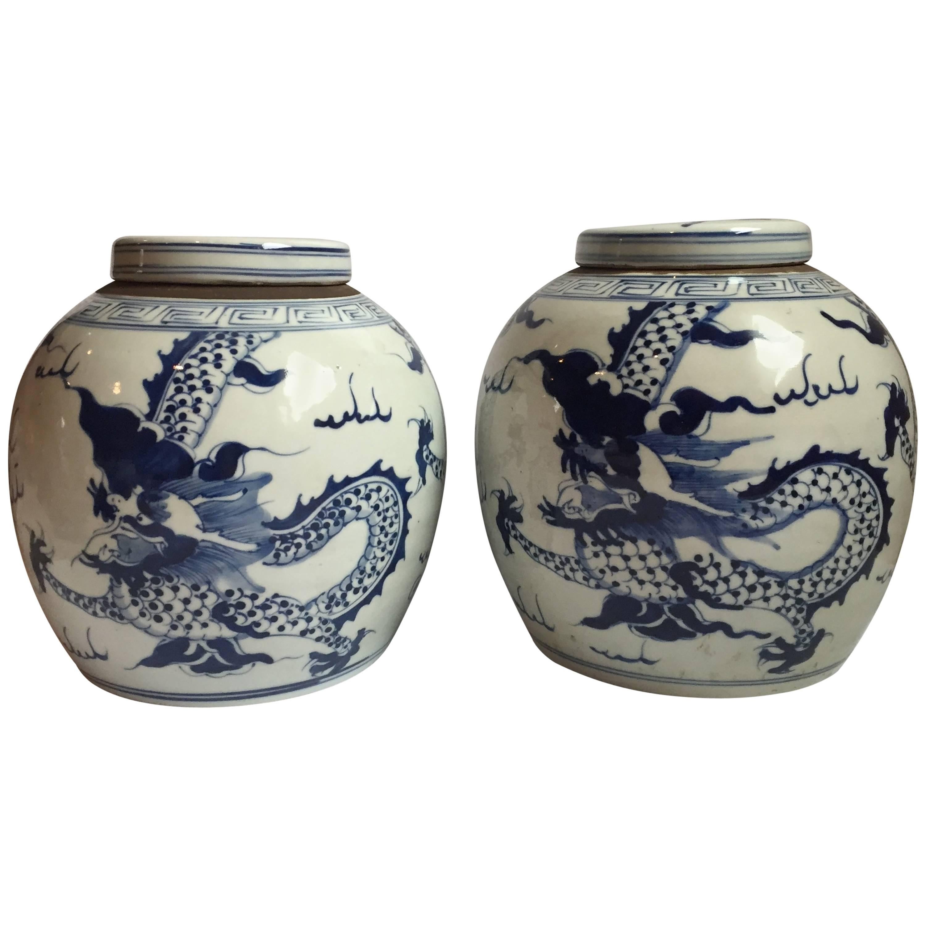 Pair of Blue and White Porcelain Ginger Jars For Sale