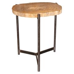 Petrified Wood Top Table