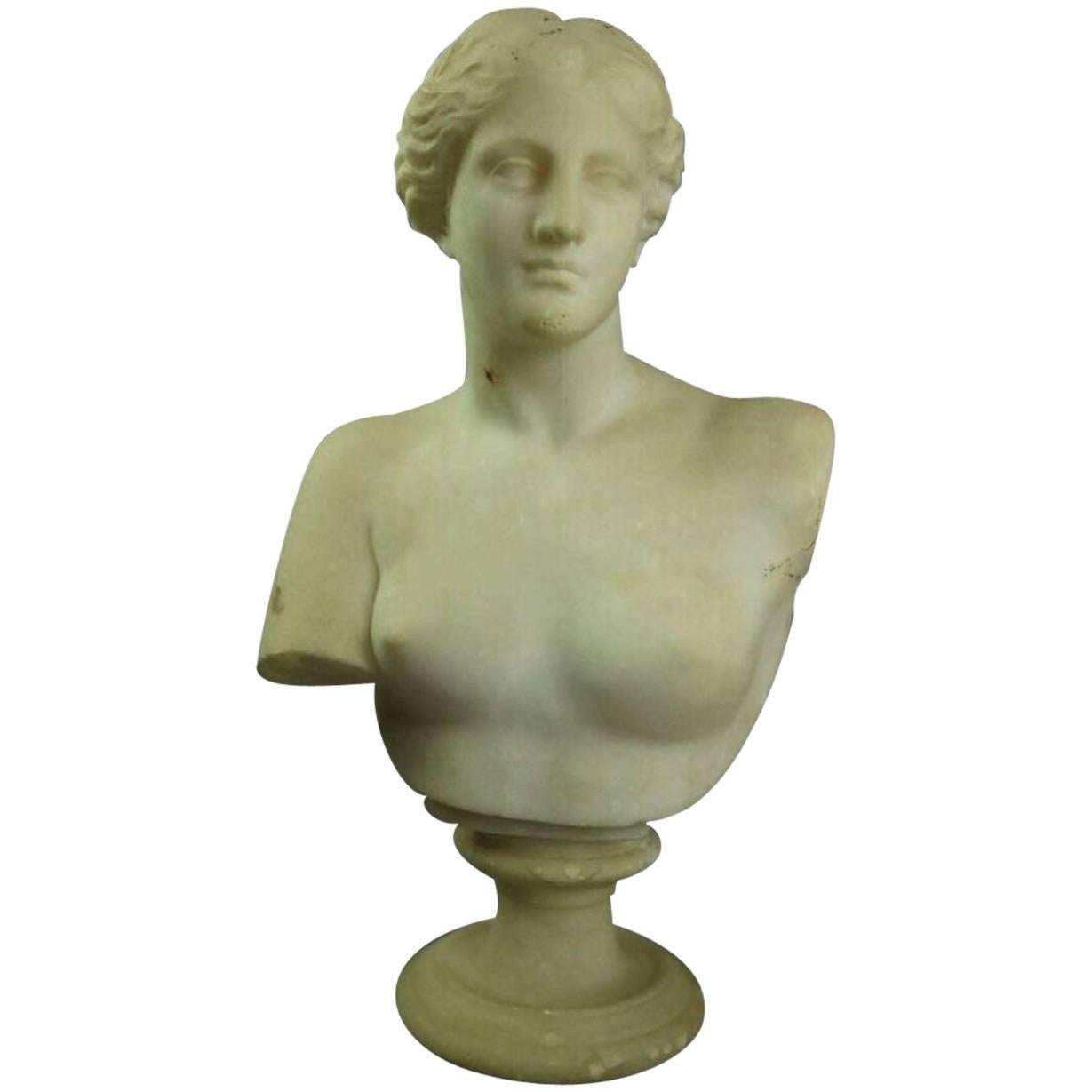 Antique Italian Classical Carved Alabaster Bust Venus De Milo, circa 1880