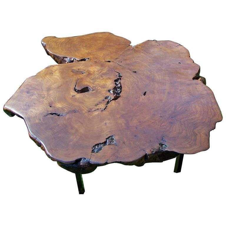 Elm Tree Trunk Coffee Table, 1950 at 1stDibs
