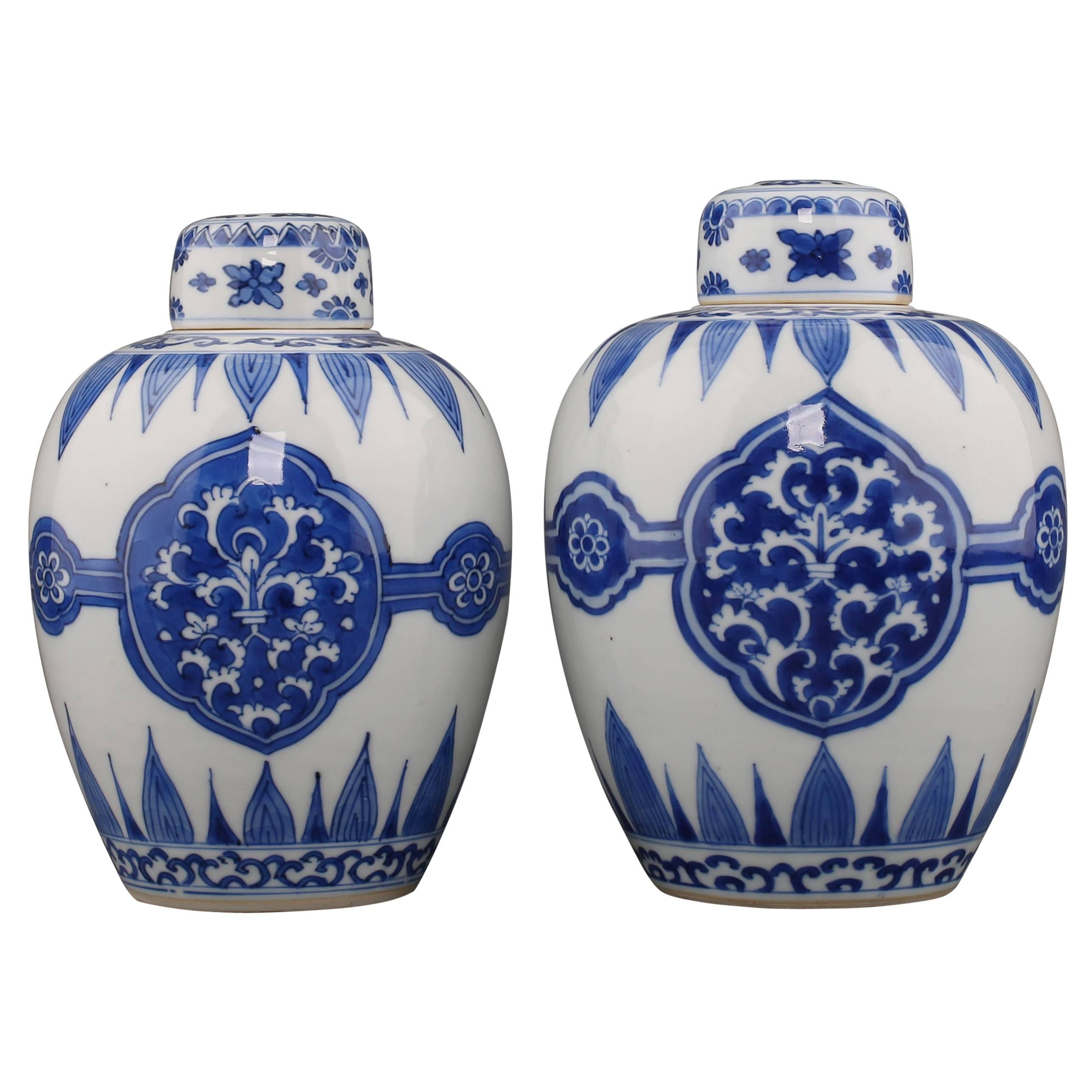 Chinese Porcelain Blue and White Pair Ovoid Jars and Covers, Kangxi For Sale
