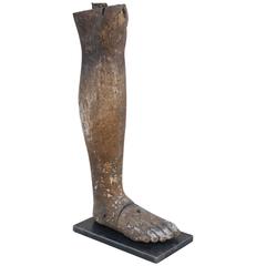 Leg Fragment on Custom Base