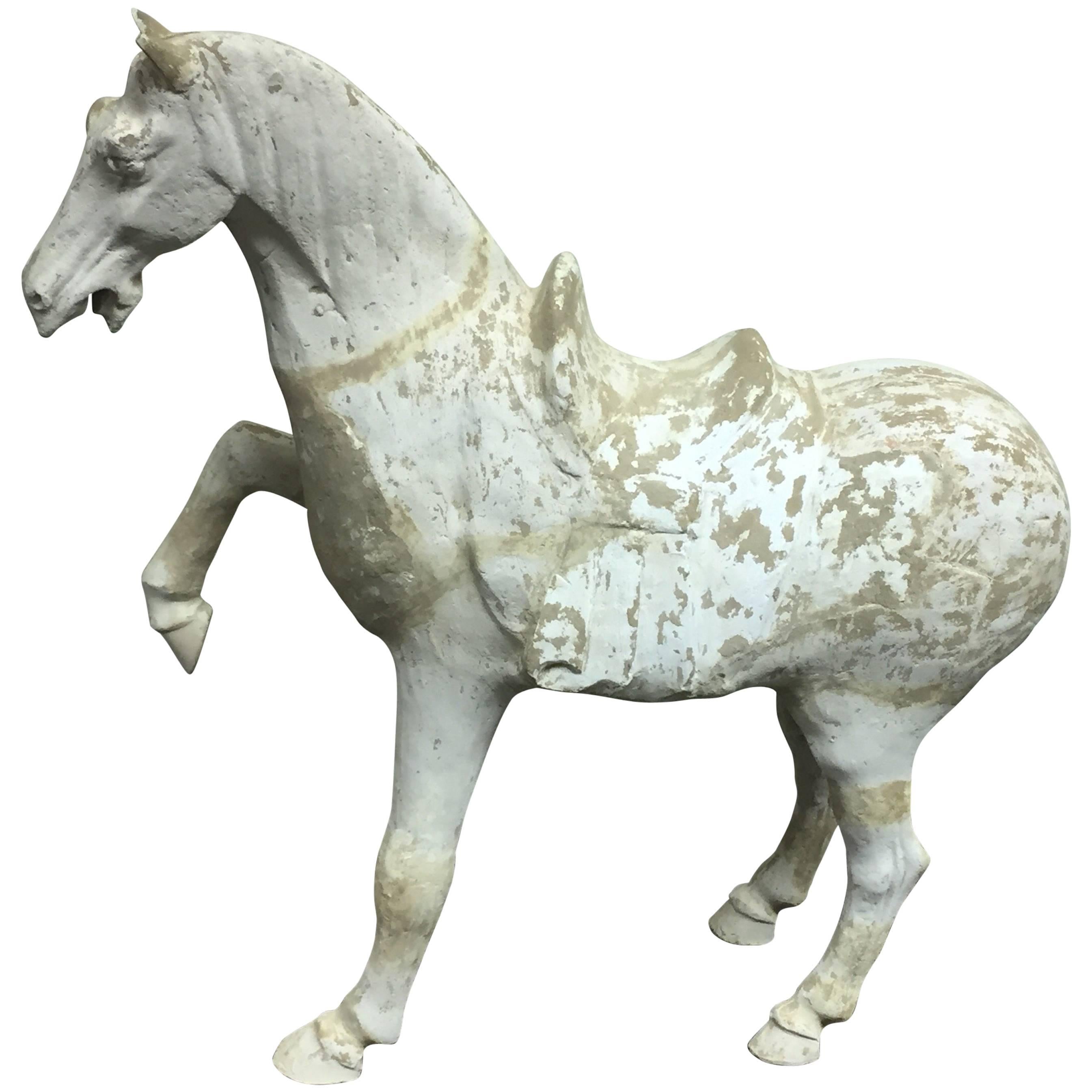 Antique Chinese Prancing Horse From The Tang Dynasty  For Sale