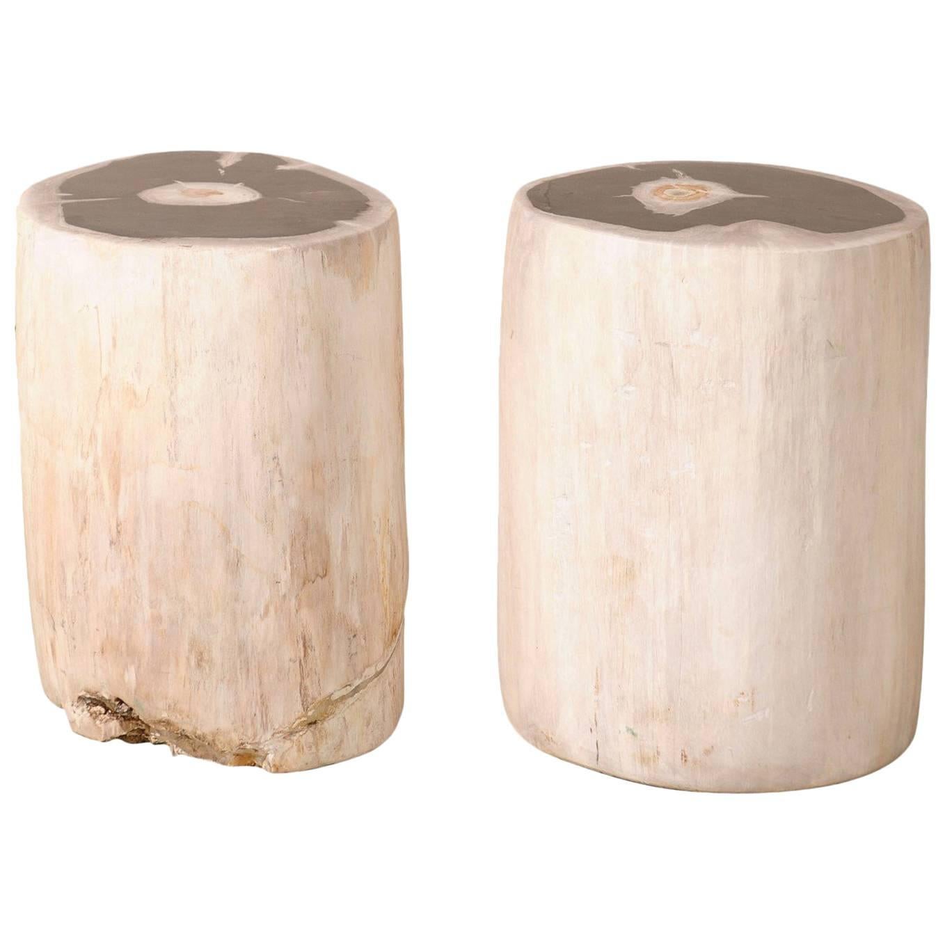 Pair of Sleek Petrified Wood Drink / Side Tables in Cream Color with Black Tops