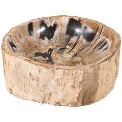Vintage Petrified Wood Sink, Natural Beige and Black Color with Polishing on the Inside