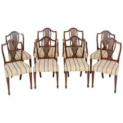 Antique Set of Eight Hepplewhite Influenced Chairs