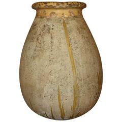 Early 19th Century Large French Biot Olive Jar
