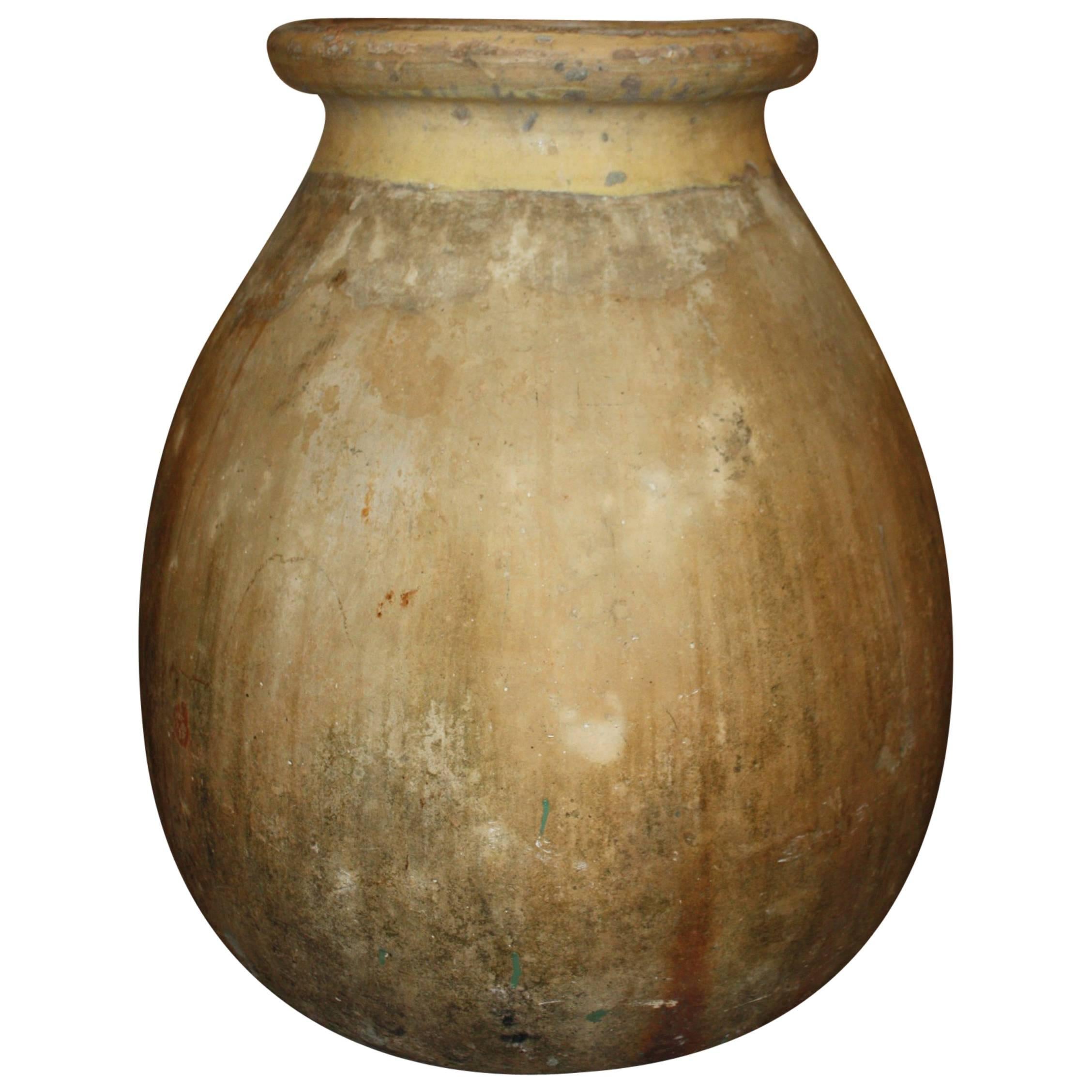 Early 19th Century Large French Biot Olive Jar