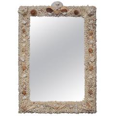 Very Nice Shell Mirror 6