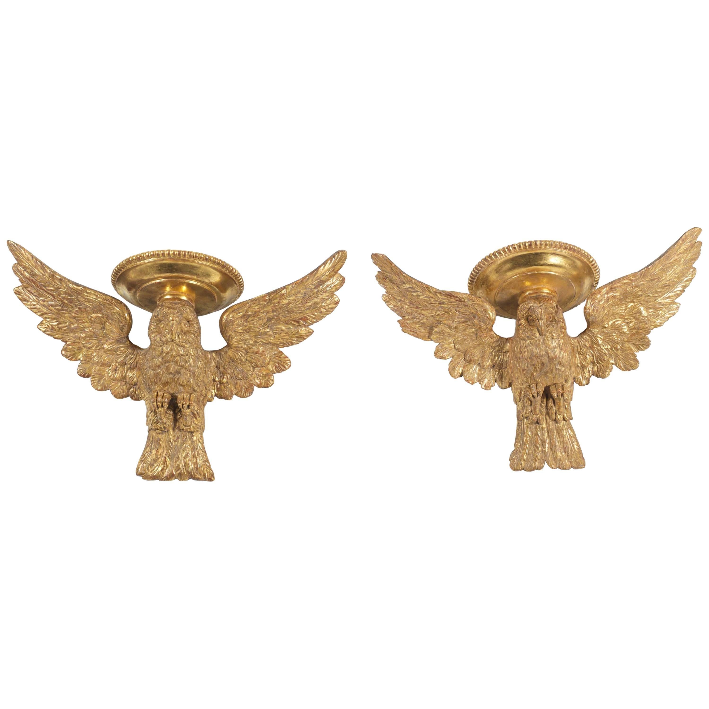 Pair of Owl Wall Brackets, Early 19th Century, Hand Carved Wood, Gesso and Gilt  For Sale