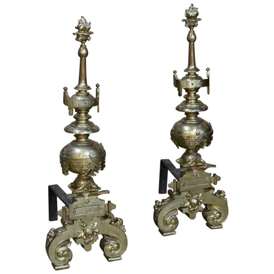 Pair of 19th Century Bronze Andirons with Sea Turtle Motifs