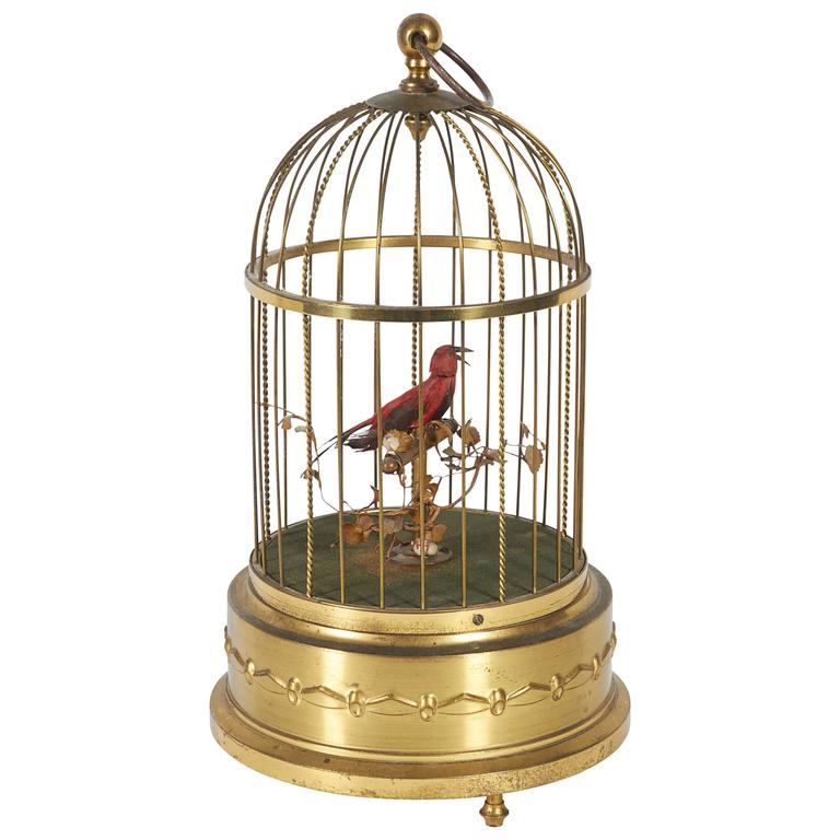 birdcage musical