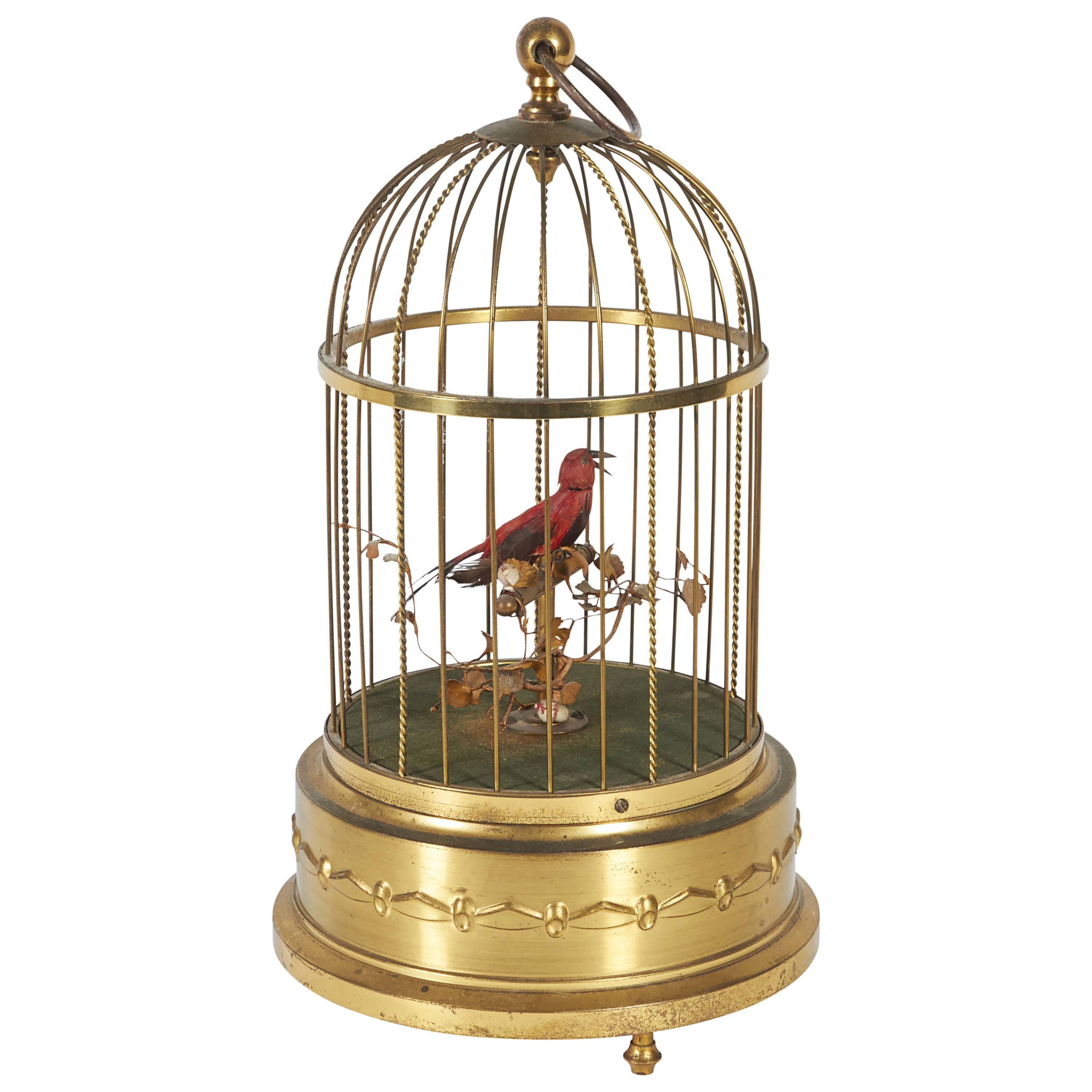 Karl Griesbaum German Brass Singing Bird Cage Music Box, Marked Kg Ken-D at  1stDibs | karl griesbaum singing bird cage, singing bird in cage, german  bird music box