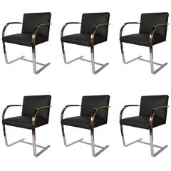 Set of Six Brno Chairs by Mies Van Der Rohe