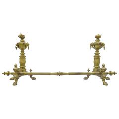 Pair of 19th Century French Neoclassical Flame and Lion Brass Paw Foot Andirons 8