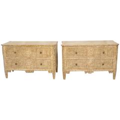 Pair of Italian Neoclassic Paint Decorated Commodes 4