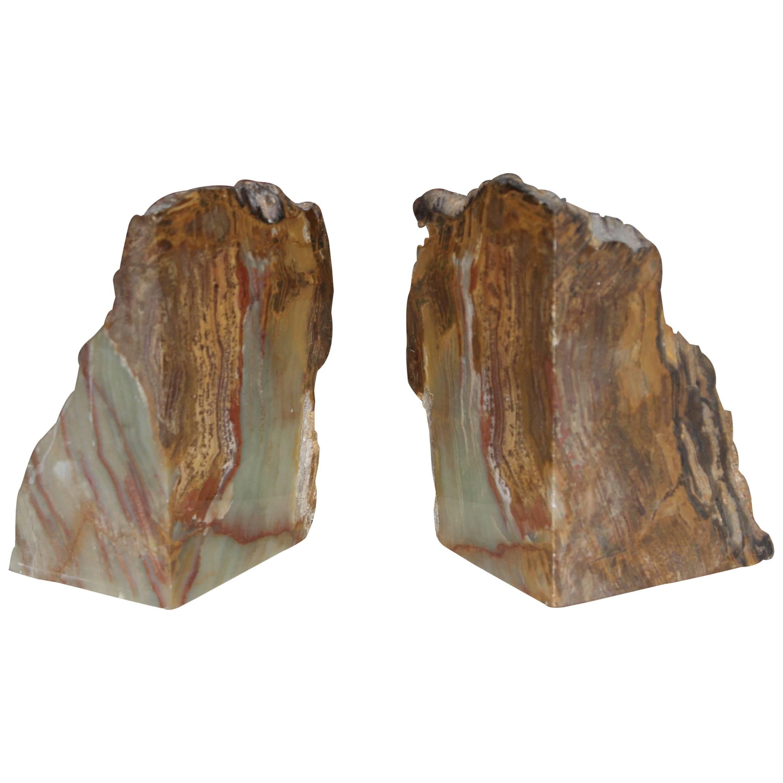 Petrified Wood Bookends For Sale