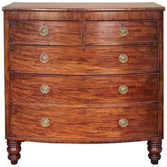 English Mahogany Bow Fronted Chest of Drawers