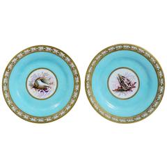 Regency Period Flight, Barr and Barr Worcester Sea-Shell Porcelain Plates