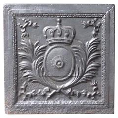 19th Century 'Arms of France' Fireback 9