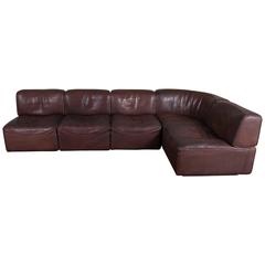 De Sede DS 15 Neck Leather Sofa, Set of Five