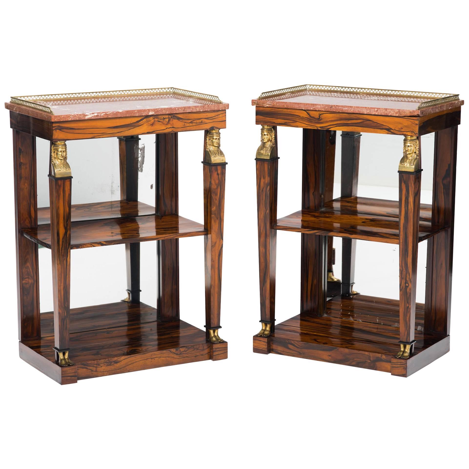 Pair of Regency Calamander Marble-Top and Mirror-Backed Open Bookcases For Sale