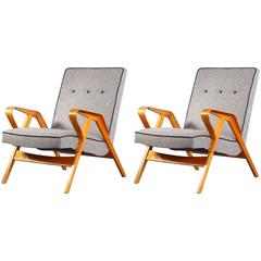 Charming Pair of Armchairs in the Manner of Roland Rainer, 1950 8