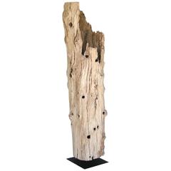 Grande sculpture de tronc d'arbre en bois flotté