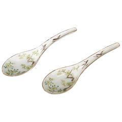 Pair of Chinese Porcelain Spoons with Blossoms and Birds, 19th Century