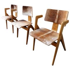 Set of Three Robin Day Hillestak Chair 1950s Covered with Foal Skin