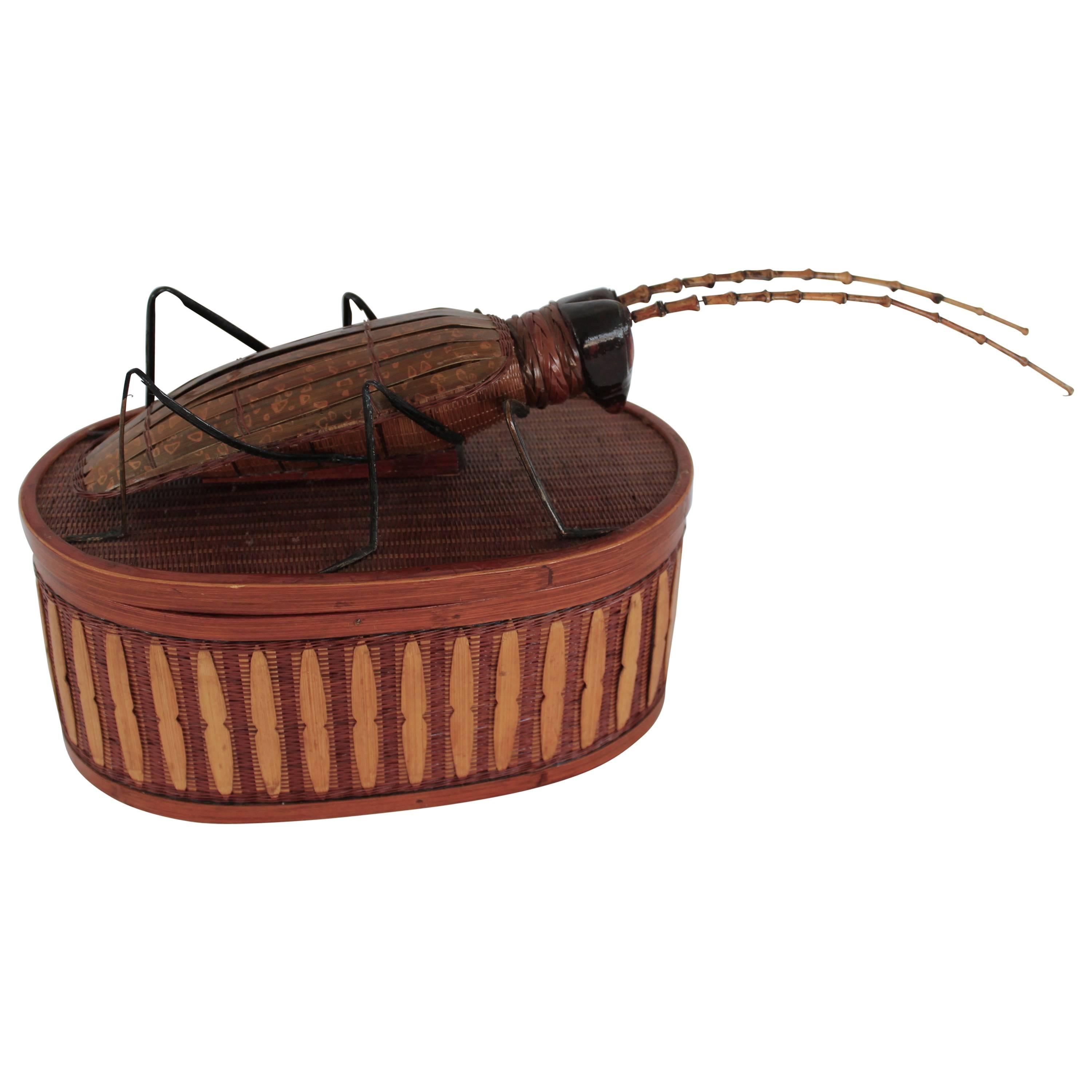 Asian Box with Cricket