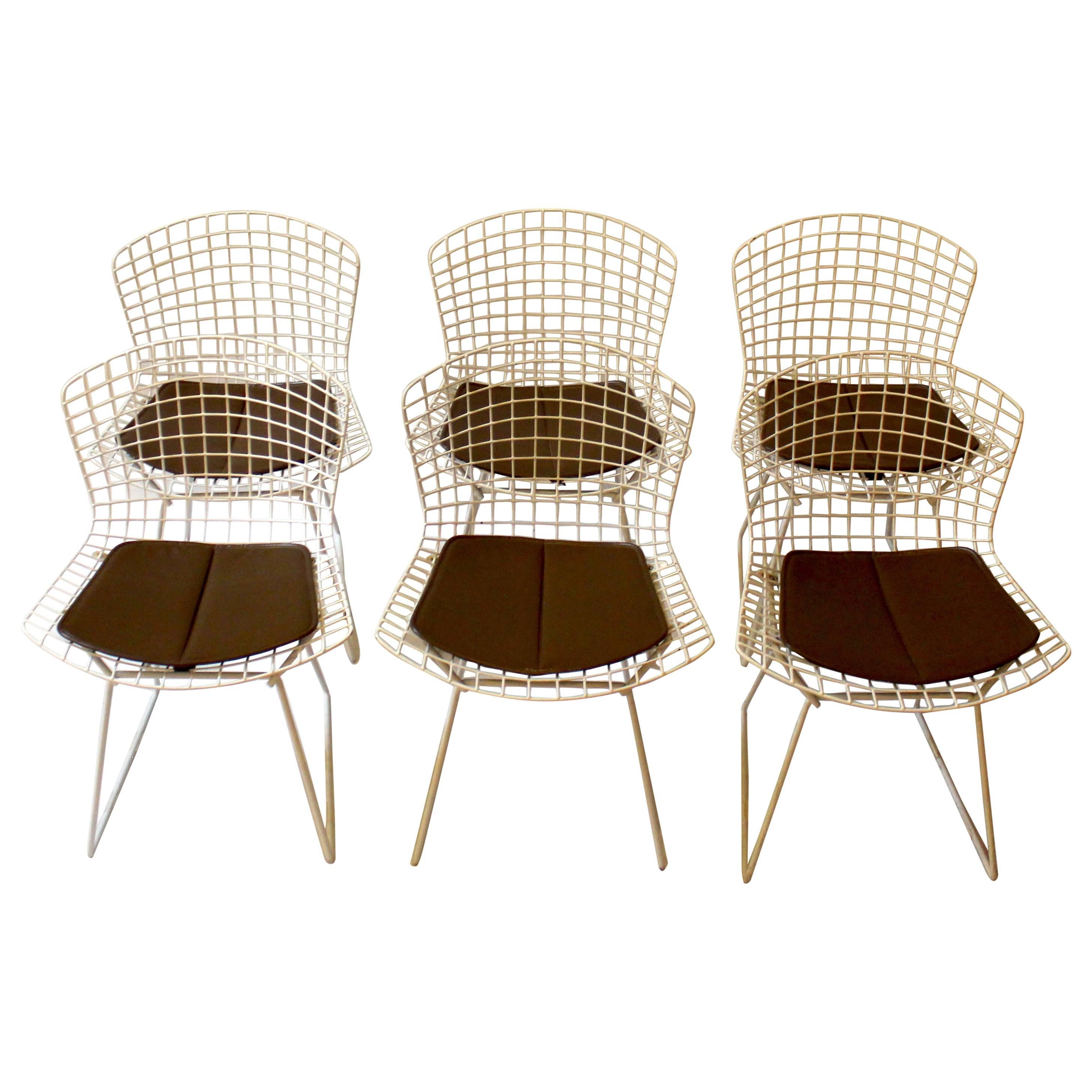 Set of six 1960s Harry Bertoia Side Chairs for Knoll with Original Seat Pads