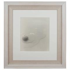 "Egg" by Photographer Laura Resen 4