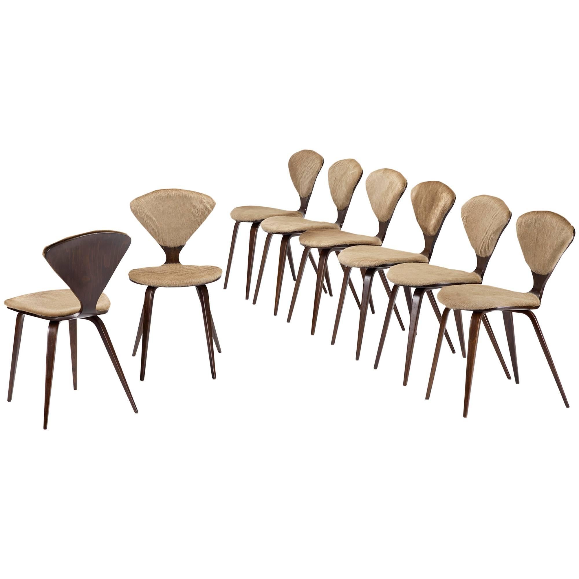 Dining Chairs Set of Eight by Plycraft For Sale