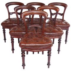 Set of Six Genuine 19th Century Mahogany Dining Chairs