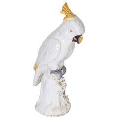 Meissen Style Porcelain Model of a Cockatoo 6