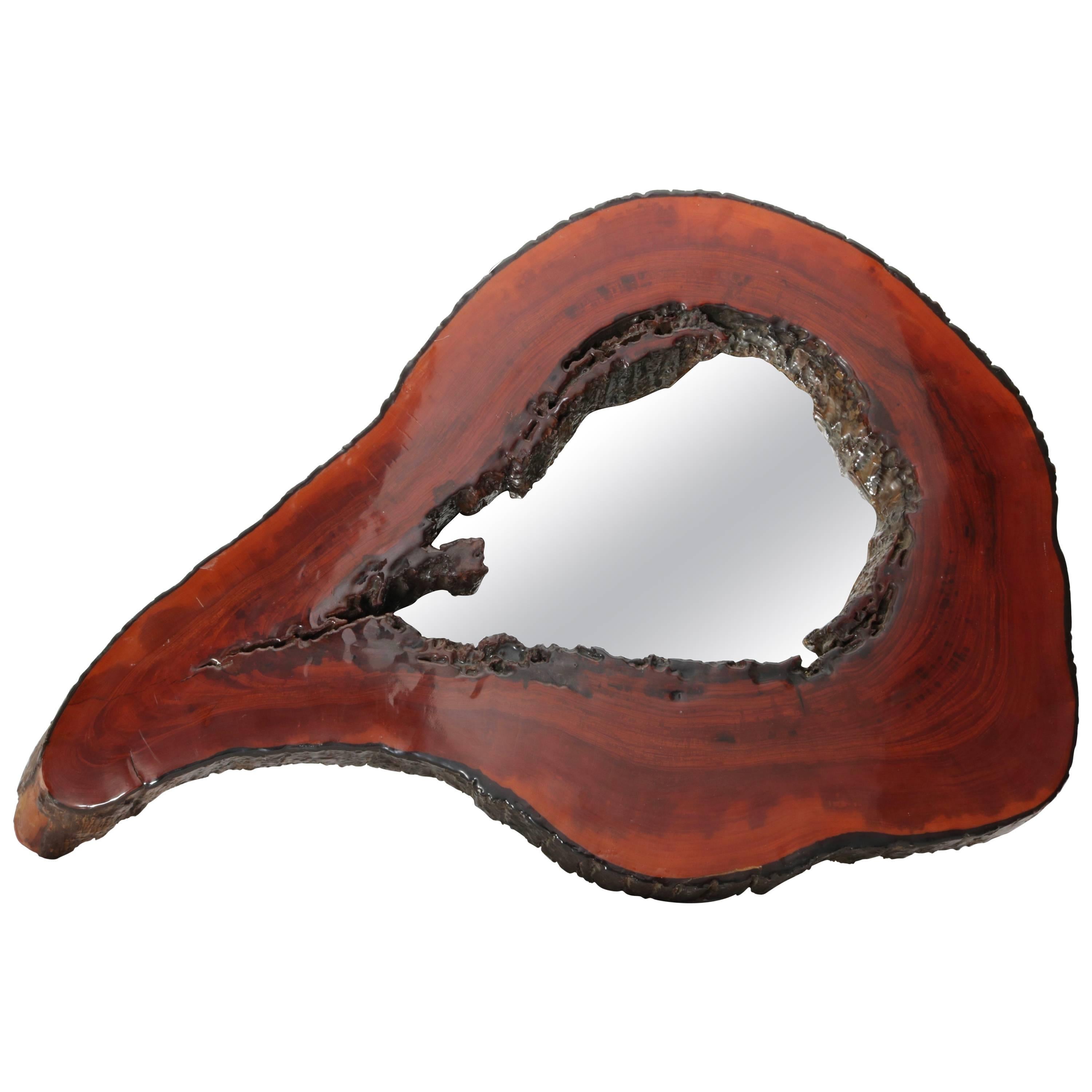 Cypress Tree Biomorphic Form Wall Mirror For Sale