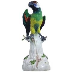 Large Meissen Porcelain Parrot 19th Century