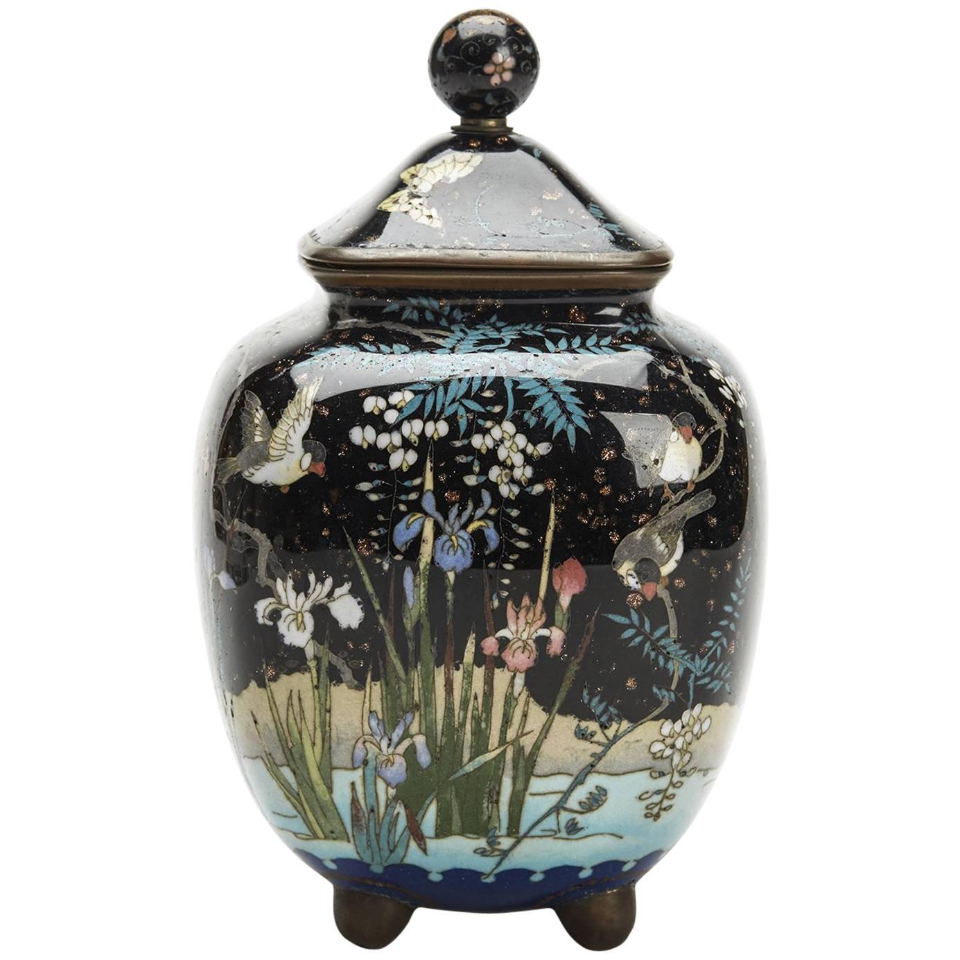 Japanese Meiji Cloisonne Lidded Jar , 19th Century