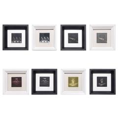 Set of Eight Small Prints by Yoko Tanaka 9