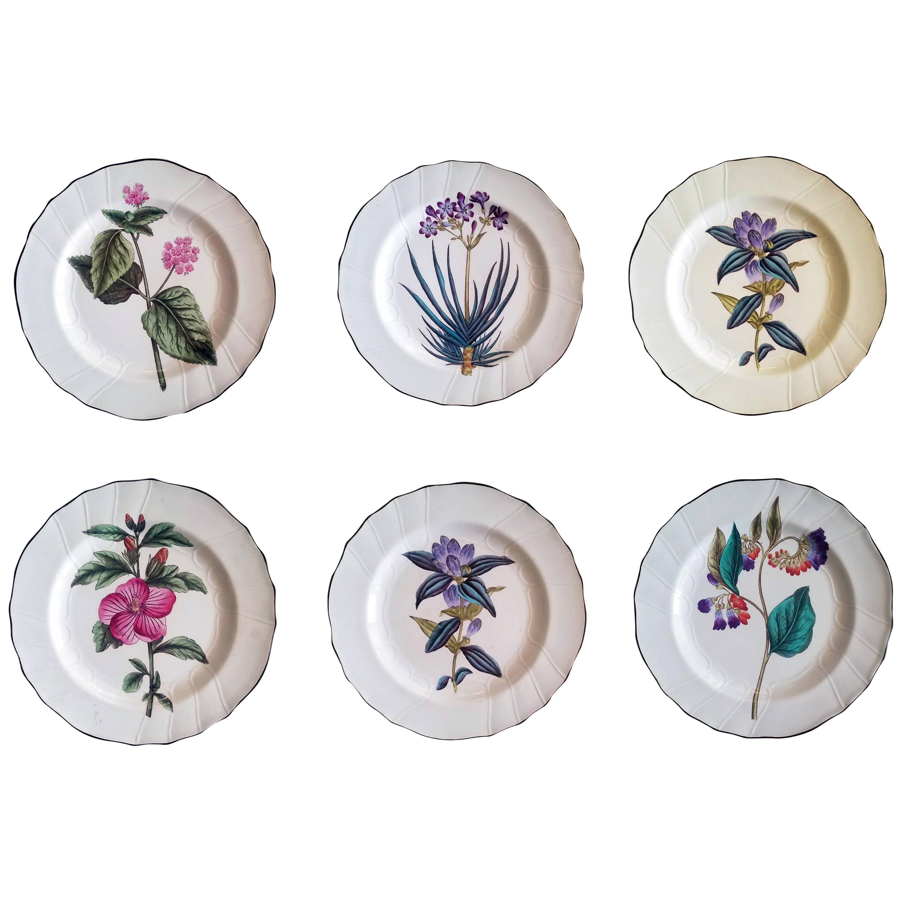 English Pottery Set of Six Botanical Plates