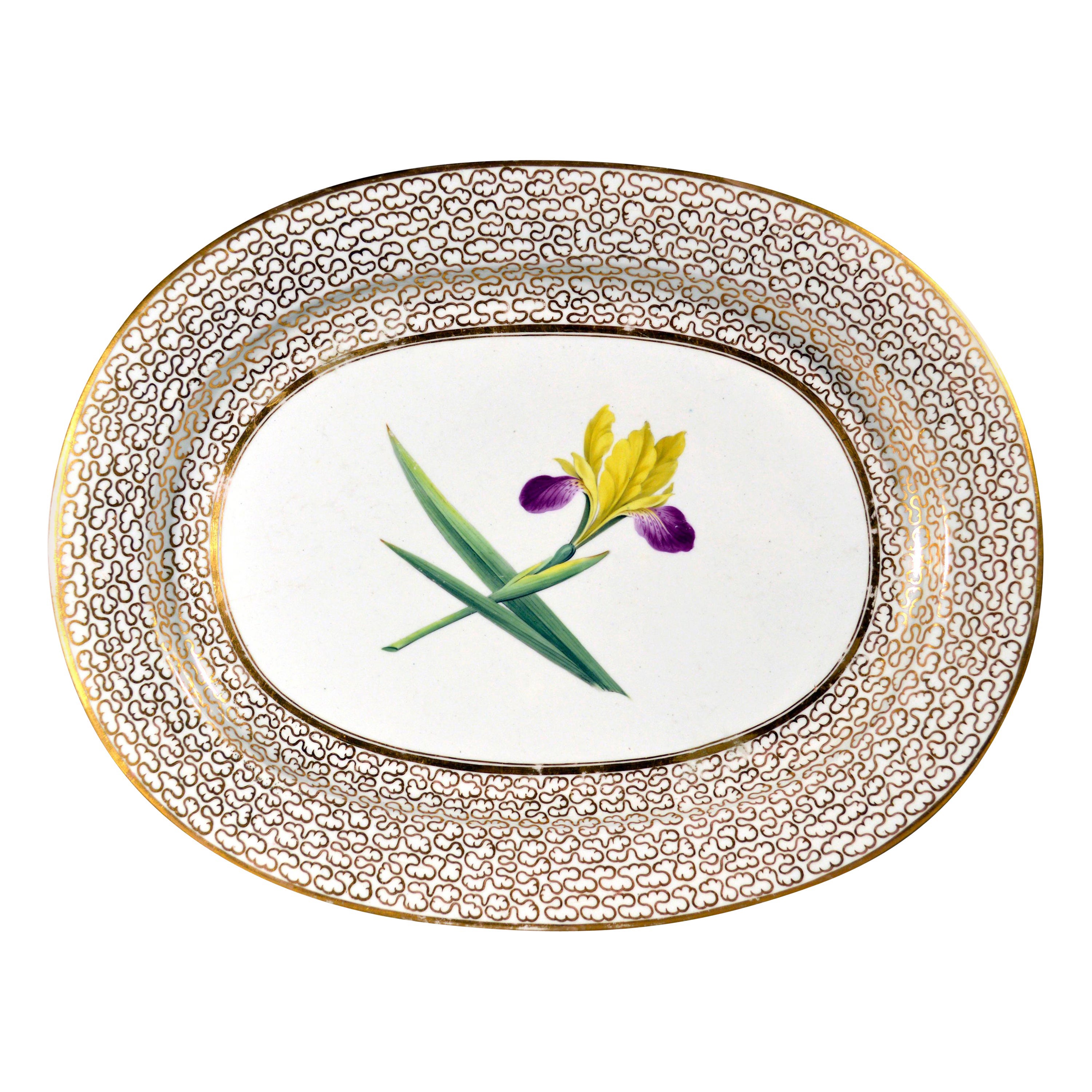 Plato grande botánico de porcelana Chamberlain Worcester de la Regencia con Iris
