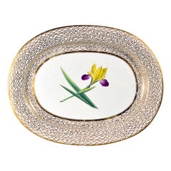 Antique Regency Chamberlain Worcester Porcelain Large Botanical Specimen Dish with Iris
