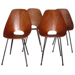 Italian Set of Four Chairs Medea by Vittorio Nobili for Tagliabue, Milano, 1955 1
