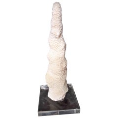 Post Modern Organic Pillar Coral