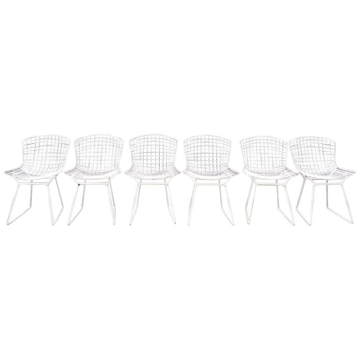 Harry Bertoia for Knoll Wire Side Chairs in White