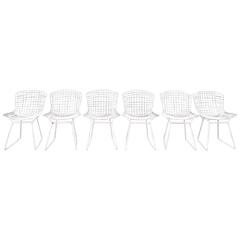 Vintage Harry Bertoia for Knoll Wire Side Chairs in White